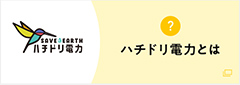 ハチドリ電力とは